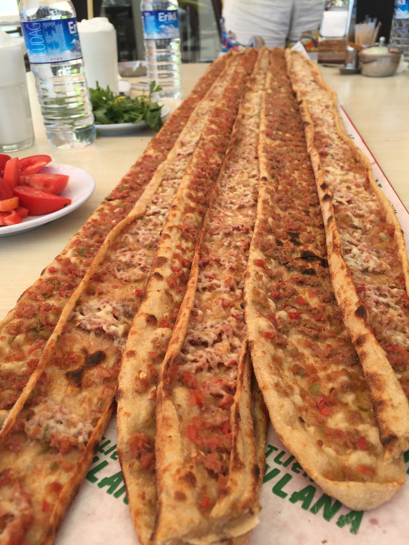 Mevlana